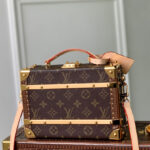 Louis Vuitton Handle Trunk Monogram M11118 Brown